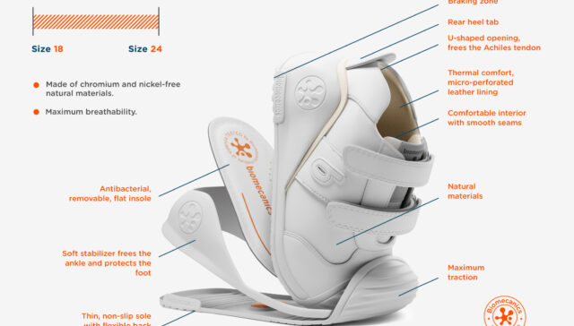 shoe biomechanics